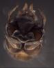 350724 – Photo : Daniel INGREMEAU – France (36)